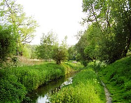 De Woluwe bij het Hof ter Musschen in Sint-Lambrechts-Woluwe