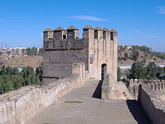 Adarve de la Alcazaba.