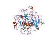 8kme: CRYSTAL STRUCTURE OF HUMAN ALPHA-THROMBIN INHIBITED WITH SEL2770.