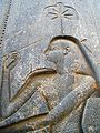 Seshat carved on the back of the throne of the seated statue of Rameses II in the Amun temple at Luxor. It dates from around 1250 BCE.