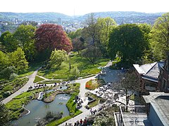 Le jardin botanique.