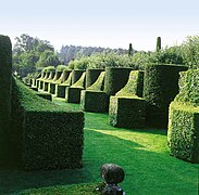 Jardins du manoir d'Eyrignac, Jardin à la française.