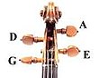 Кріплення струн G (соль), D (ре), A (ля) і E (мі) у кілковій коробці