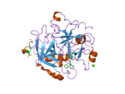 2jh0: HUMAN THROMBIN HIRUGEN INHIBITOR COMPLEX.