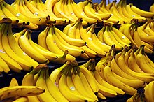 Grocery store photo of several bunches of bananas