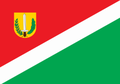 Bandeira de Chopinzinho