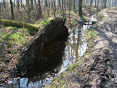 Changer la vitesse de l'eau ou sa hauteur a un impact sur les sol et les racines.