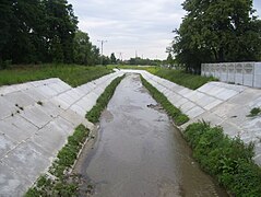 Certains fossés de drainage ont été bétonnés (on parle de « Becques à plaques » en Flandre française), pour limiter l'érosion de leurs berges et la présence des rats musqués.