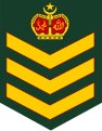 Staf sarjan (Malaysian Army)[28]