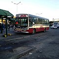 Un colectivo de la línea 510 en servicio. Metalpar Tronador Mercedes Benz OF1418 Interno 401.