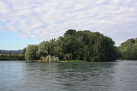 Insel Grien bei Koblenz AG (CH)