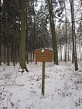 De Scharfe Berg het hoogste punt van de Stemweder Berg