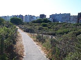 Natuurgebied de Warandeduinen