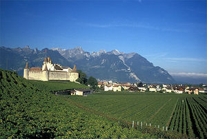 Le vignoble autour du château d'Aigle. Le château abrite le « musée de la vigne et du vin ».