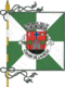 Flagge des Concelhos Lamego