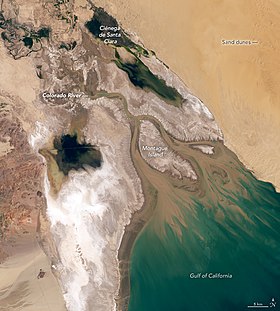 Satellite view of the Colorado River Delta featuring Isla Montague and the Ciénega de Santa Clara wetland