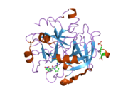 1ypm: X-ray crystal structure of thrombin inhibited by synthetic cyanopeptide analogue RA-1014