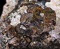 Vésuvianite - Monte Somma, Province de Naples, Italie - (Vue 1.5 cm)