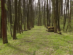 Zámecký park Liblice