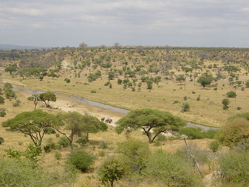 En Nacia Parko Tarangire en Tanzanio.