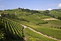 Image 51Vineyard Landscape of Piedmont: Langhe-Roero and Monferrato (from Culture of Italy)