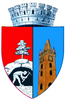 Blason de Baia Mare