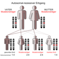 Autosomal-rezessiver Erbgang