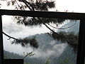 Track between Donga Gali and Ayubia known as Ayubia National Park track.