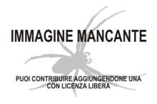 Immagine di Strophius mancante