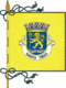 Flagge des Concelhos Santo Tirso