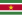 Surinams flagg