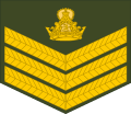 Staff sergeant (Lesotho Army)[26]