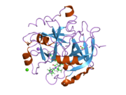 2cf8: COMPLEX OF RECOMBINANT HUMAN THROMBIN WITH A INHIBITOR