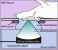 Schematische Darstellung der lokalen Öffnung der Blut-Hirn-Schranke durch fokussierten Ultraschall.