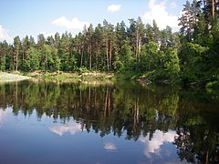 Wiks va Bolcaya Kokcaga kuksa