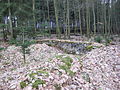 Blick über die Ruine Stückkirchen