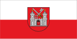 Vlag van Tartu