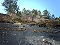 Trinidad Lake State Park (KT boundary exposure)