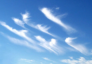 Cirrus uncinus