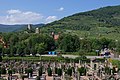 Cemetery and vineyards