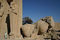 Colosso caduto di Ramses II, detto "Colosso di Ozymandias", fra le rovine del Ramesseum.