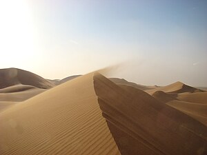 Sandöken, Sahara