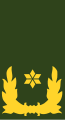 Royal Netherlands Army: Brigadegeneraal