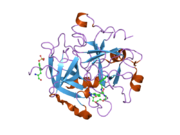 2bvs: HUMAN THROMBIN COMPLEXED WITH FRAGMENT-BASED SMALL MOLECULES OCCUPYING THE S1 POCKET