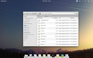 Elementary OS Freya FileManager 2