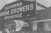 California Almond Growers exchange process facility