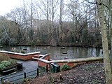 Lake in the Town Park