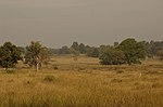 Kanha-Nationalpark