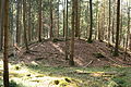 Tumulus, Germany