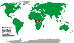 Distribuição das espécies de hominídeos